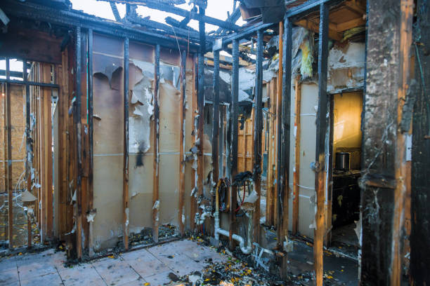 Professional Fire Damage Removal technician working in Start, LA